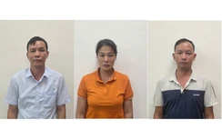 Quảng Ninh: Khởi tố ba đối tượng liên quan đến khai thác trái phép rừng tự nhiên