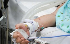 Chu kỳ bùng phát sốt xuất huyết trái quy luật, có đáng lo?