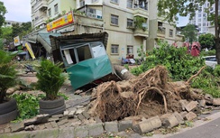 Hà Nội: Khẩn trương thu dọn hơn 940 cây đổ, gãy cành sau cơn dông bất thường