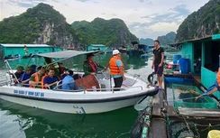 Bão số 3 Wipha: Hải Phòng lên phương án sơ tán gần 20.000 người