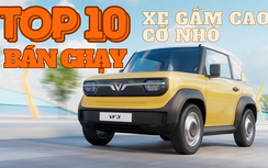 TOP 10 xe gầm cao cỡ nhỏ bán chạy nhất hiện nay