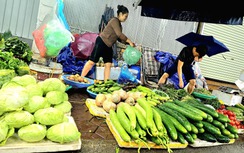 Siết chặt kiểm tra, xử lý găm hàng, thổi giá trong mưa bão