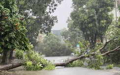Đồng Nai, Thanh Hóa, Nghệ An: Mưa lớn, cây đổ chắn đường, xả lũ hồ thủy điện