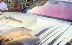Chiếc SUV hạng sang được hô biến thành bể cá gây xôn xao dân mạng Trung Quốc