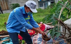 Dịch sốt xuất huyết bùng phát tại TP.HCM: 10 ca tử vong, nhiều bệnh nhân diễn biến nặng
