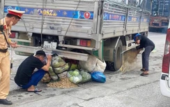 Hải Phòng: Liên tiếp 3 vụ tai nạn giao thông trong ngày khiến 4 người thương vong