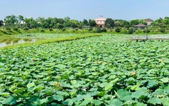Hà Tĩnh cho thuê 576ha đất có tiềm năng khai thác phục vụ phát triển du lịch