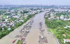 Đồng Nai: Ưu tiên đấu giá các khu đất "vàng" có mặt bằng sạch trước 30/8