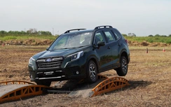 Xe gầm cao hạng C đua giảm giá tháng 7