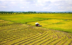 Hà Tĩnh: Đề nghị điều chỉnh quyết định về đất đai phù hợp chính quyền hai cấp