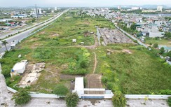 Thanh Hóa: Dự án nhà ở xã hội 527 tỷ đồng "đắp chiếu" 4 năm, mọc đầy cỏ dại