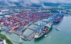 TP.HCM kiến nghị xây dựng chính sách ưu đãi cho khu thương mại tự do