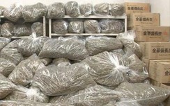 Bộ Ngoại giao lên tiếng vụ 3 người Việt bị bắt ở Nhật