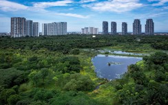 Yếu tố sống xanh được định hình vượt lên trên mọi tiêu chí