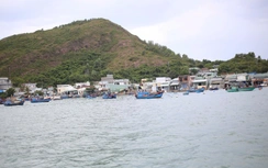 Giếng nhiễm mặn, hàng trăm hộ dân vùng ốc đảo ở Quy Nhơn khát nước sạch