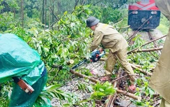 Đảng ủy Bộ Xây dựng chỉ đạo tập trung ứng phó, khắc phục hậu quả bão số 5