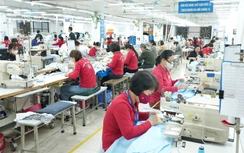 Đối mặt thuế 20% từ Mỹ: Doanh nghiệp Việt cần gì để không hụt hơi?