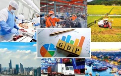 Thủ tướng chỉ đạo ổn định cung cầu, giá vật liệu, đẩy mạnh xây dựng nhà ở xã hội