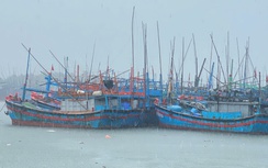 Gia Lai: Một thuyền viên bất ngờ mất tích khi tàu đang hoạt động trên biển