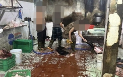 Khởi tố chủ lò mổ xẻ heo mắc tả lợn tiêu thụ