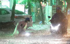 TP.HCM: Mưa dông gây ngập sâu, cây xanh gãy đổ, mái tôn bay giữa đường