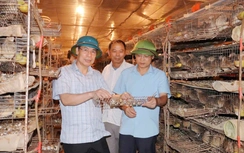 Phú Thọ: Hoàng An hướng tới mục tiêu xã Nông thôn mới kiểu mẫu