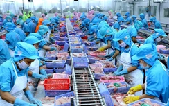Tỉnh nào chiếm ngôi xuất khẩu sau sáp nhập?