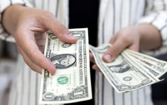 Đồng đô la Mỹ ổn định trước cuộc họp của Fed