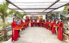 Thư viện Hướng Dương: Hành trình từ ý tưởng đến hiện thực