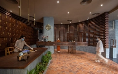 TP.HCM: Khởi động dự án 450 tỷ đồng xây trung tâm Đông y Đông dược