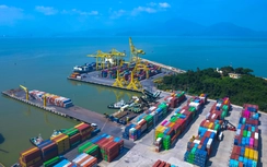Cục Hàng hải và Đường thủy ủng hộ nâng cấp luồng vào bến Tiên Sa cho tàu 50.000 DWT