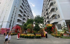 TP.HCM ban hành Quy chế hoạt động của Ban chỉ đạo phát triển nhà ở xã hội