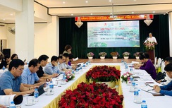 Hà Nội bàn giải pháp chiến lược cho hệ thống cây xanh, công viên, vườn hoa