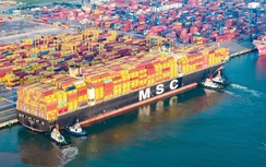 Cảng HTIT tại Lạch Huyện đón tàu container tới hơn 162.000 DWT