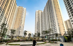 Quỹ Nhà ở quốc gia chỉ phục vụ cho thuê, hoạt động phi lợi nhuận