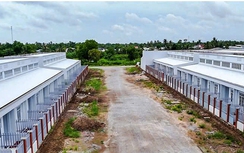 Cà Mau chấp thuận chủ trương dự án nhà ở xã hội hơn 500 tỷ đồng