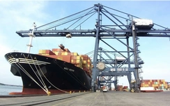 Ba cảng biển Việt Nam lọt top 100 cảng container có hàng thông qua lớn nhất thế giới