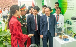 Nhựa Tiền Phong đưa thương hiệu Việt vươn xa