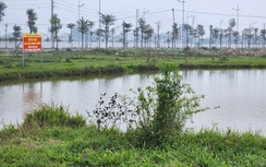 Loại đất được miễn thuế từ năm mới 2026