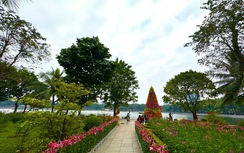 Ngày 11/1 chính thức được xác lập là Ngày Cây xanh Việt Nam