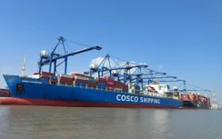 30 tuyến dịch vụ nối cảng biển Hải Phòng với Mỹ và châu Á