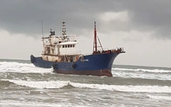 Vụ tàu nước ngoài mắc cạn ở Dung Quất: Tập trung xử lý, tránh sự cố đáng tiếc về hàng hải