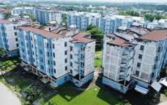 TP.HCM quyết tâm hoàn thành chỉ tiêu lớn nhất cả nước về nhà ở xã hội từ năm 2026