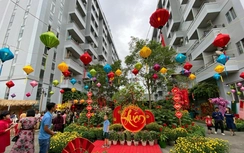 Phát triển nhà ở xã hội: Chính sách nhân văn, trụ cột an sinh