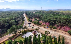 Quảng Ngãi chọn được nhà đầu tư khu đô thị hơn 9.500 tỷ đồng tại Măng Đen