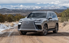 Người Việt mua 6 xe Lexus mỗi ngày trong năm 2025