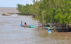 Dự chi hơn 500 tỷ đồng hỗ trợ sinh kế hộ nghèo, gia đình chính sách ở Cà Mau