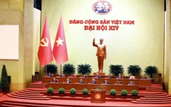 Bạn bè quốc tế ngưỡng mộ trước thành tựu đạt được của Đảng và nhân dân Việt Nam