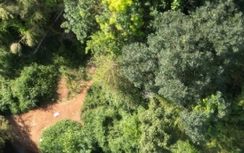 Chấp thuận nhà đầu tư đề xuất triển khai đường nối cầu Mã Đà với Vành đai 4 TP.HCM