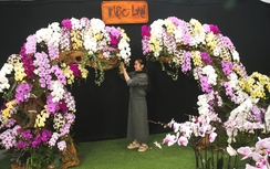 Nghệ An: Hoa và cây cảnh Tết tấp nập xuống phố